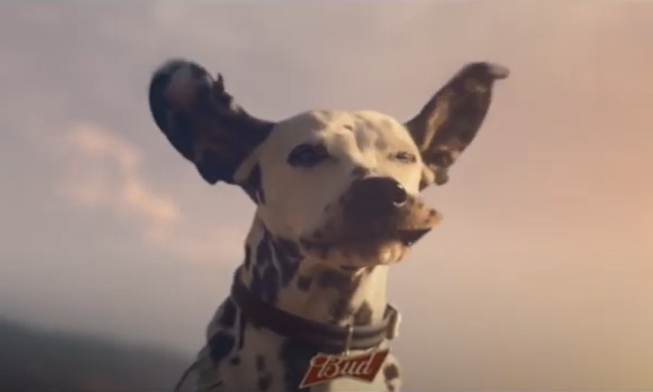 Bud hond in de wind reclame